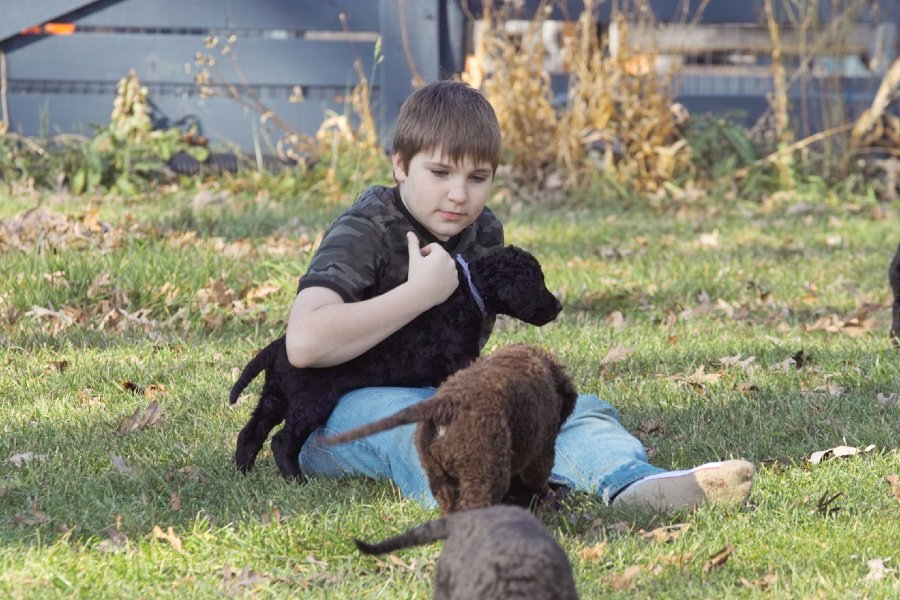 SDIM8648.jpg