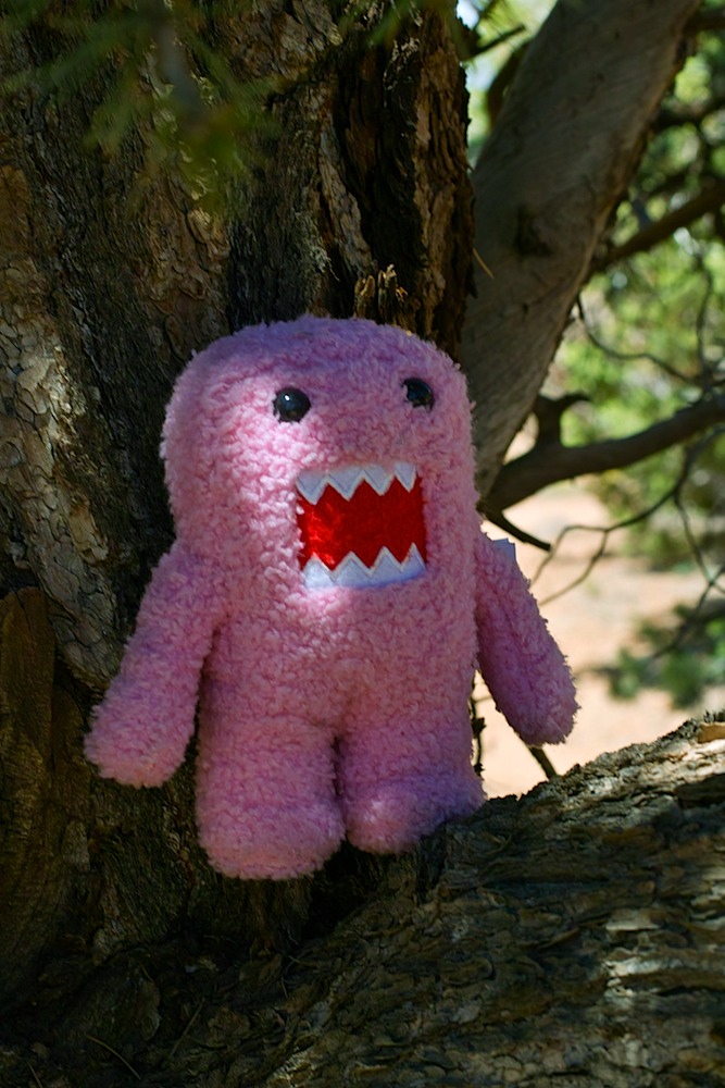 00516-CCroad-domo1