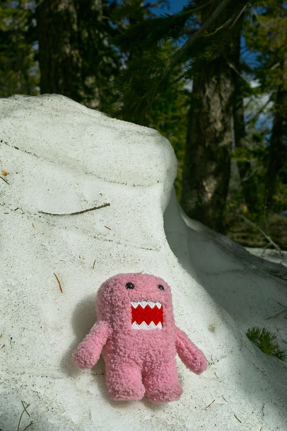 0515-Bryce-domo-on-ice