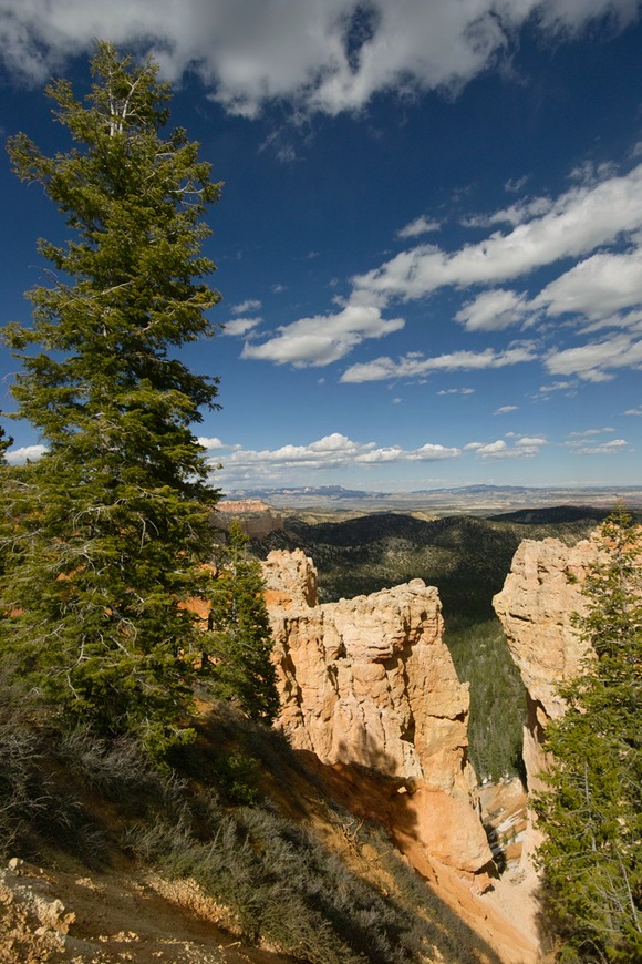 0515-Bryce-overlook-2