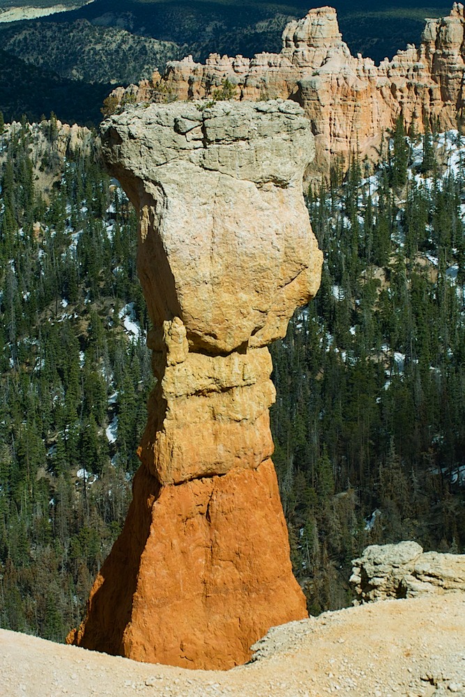 0515-Bryce-fist