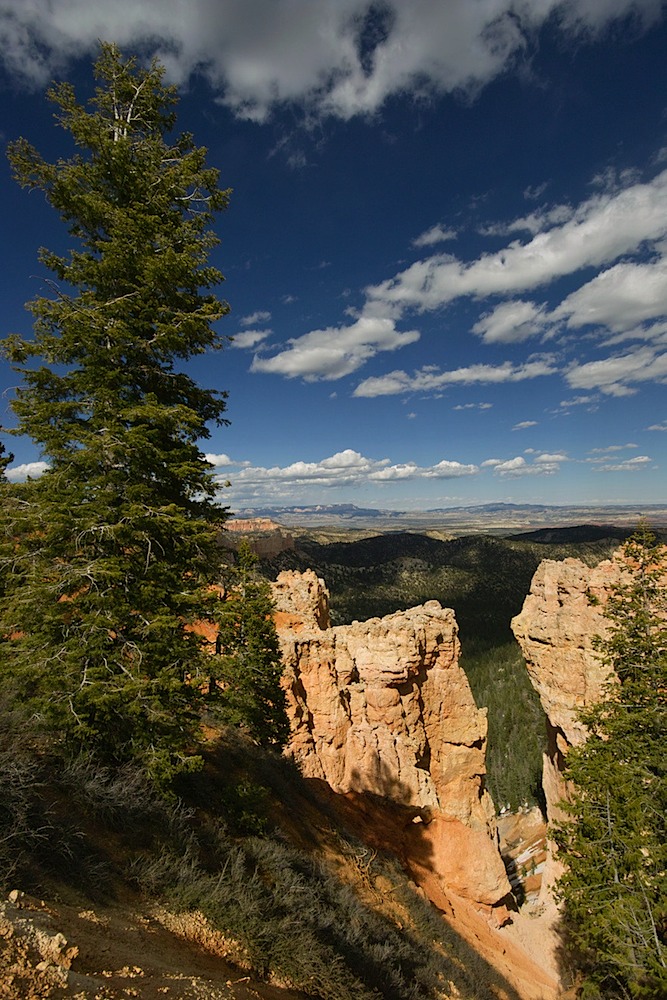 0515-Bryce-overlook-2