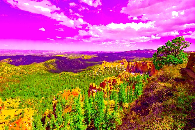 0515-Bryce-salad-bowl