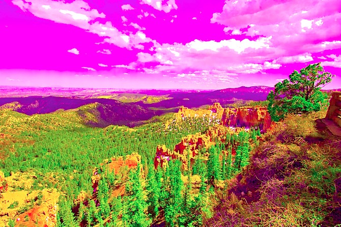 0515-Bryce-salad-bowl