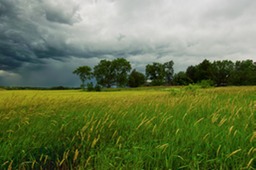 Spring Storm